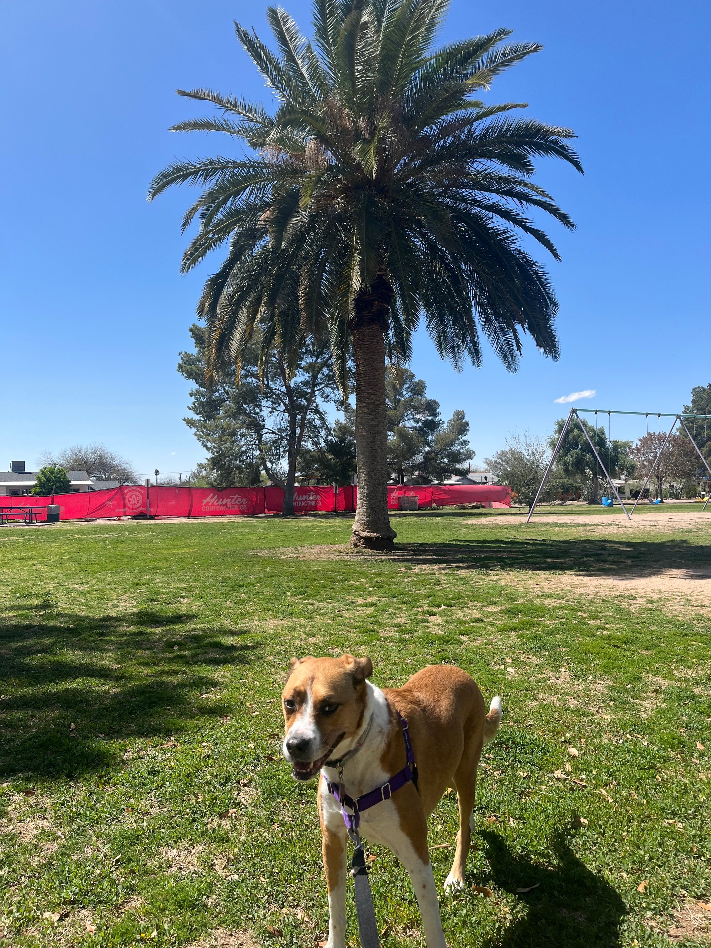 Arizona